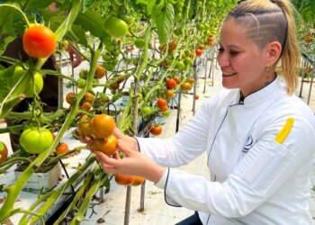 Hilton Bahrain marks yet another successful Ramadan Green Initiative