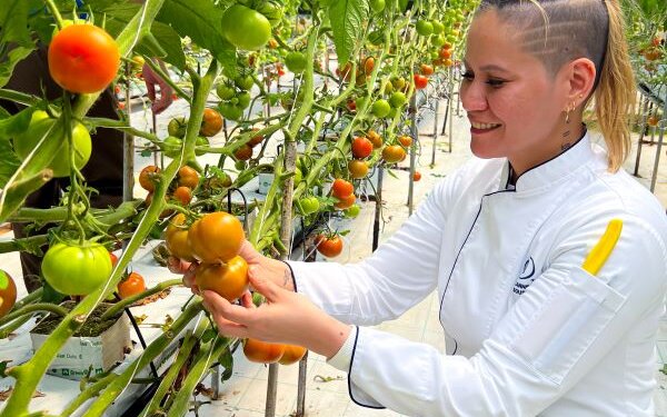 Hilton Bahrain marks yet another successful Ramadan Green Initiative