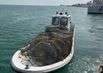 Coast Guard seizes 377 illegal fishing traps and nets during past three months of 2026